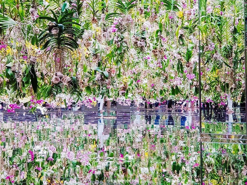 teamLab Planets TOKYO ที่เที่ยวญี่ปุ่น