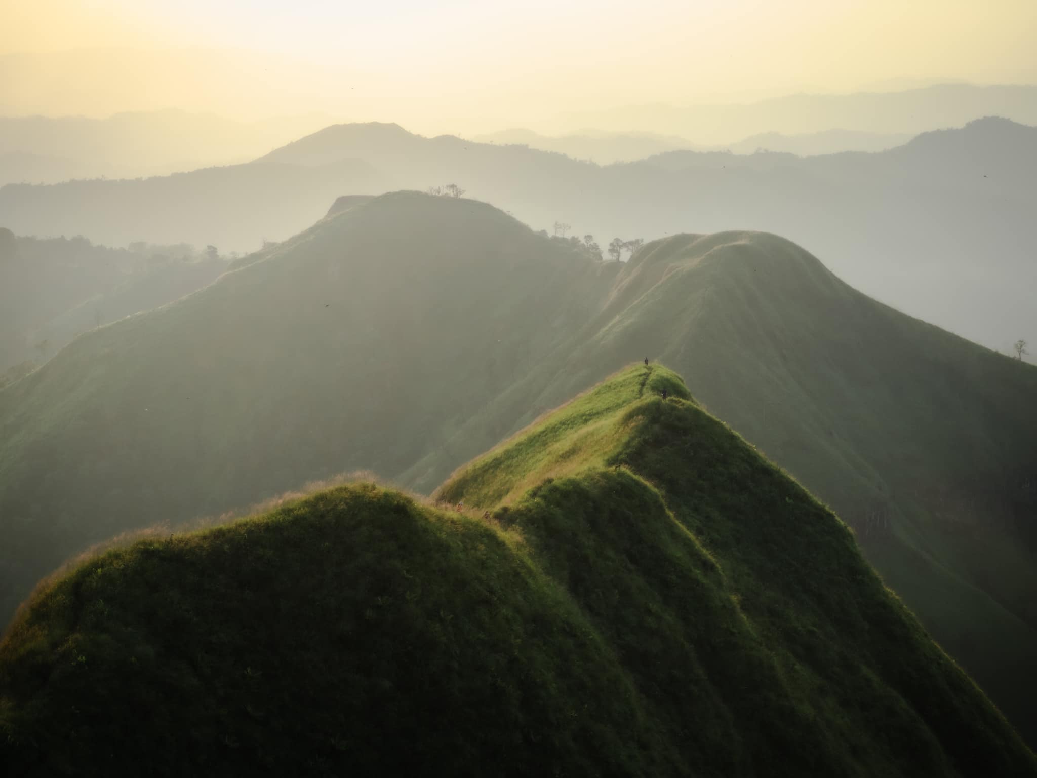 เขาช้างเผือก