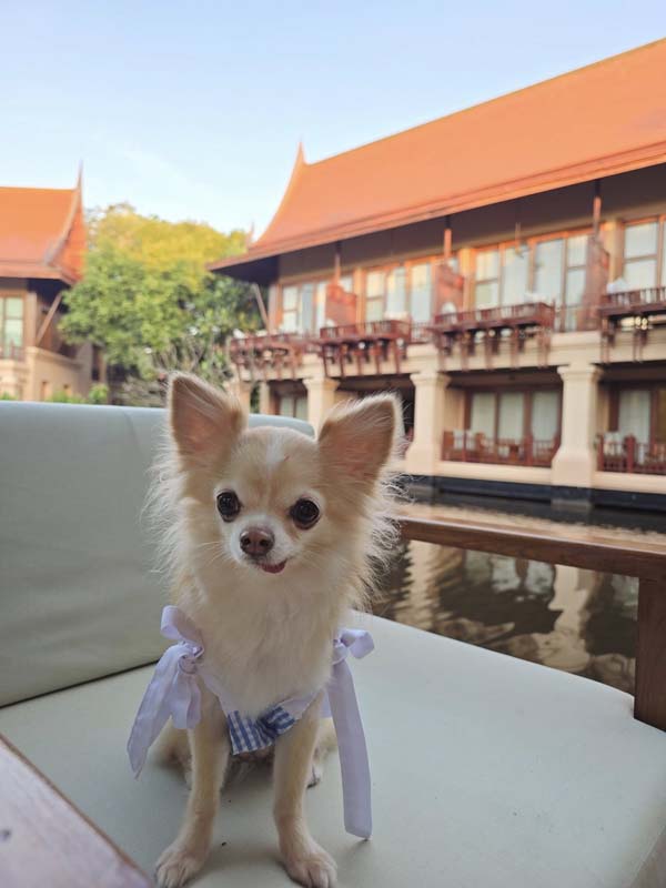Anantara Hua Hin