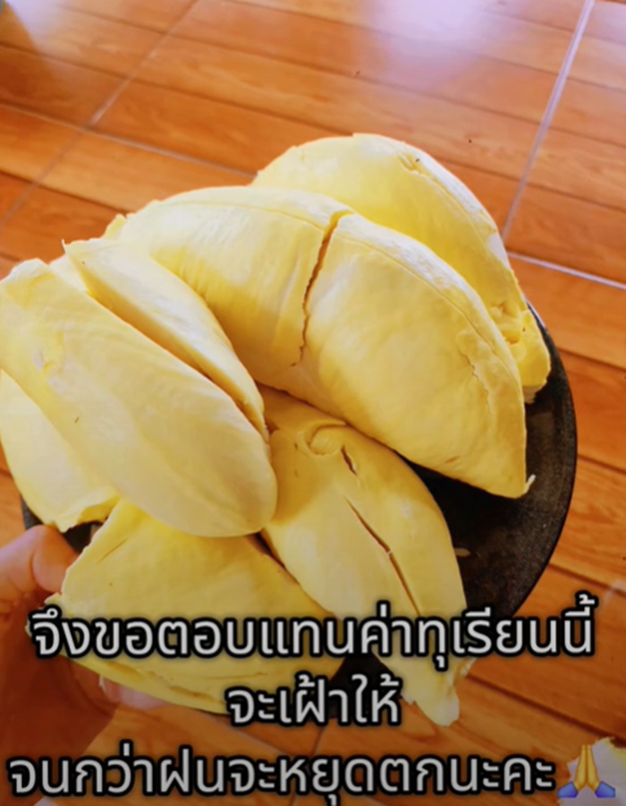 นอนรีสอร์ต