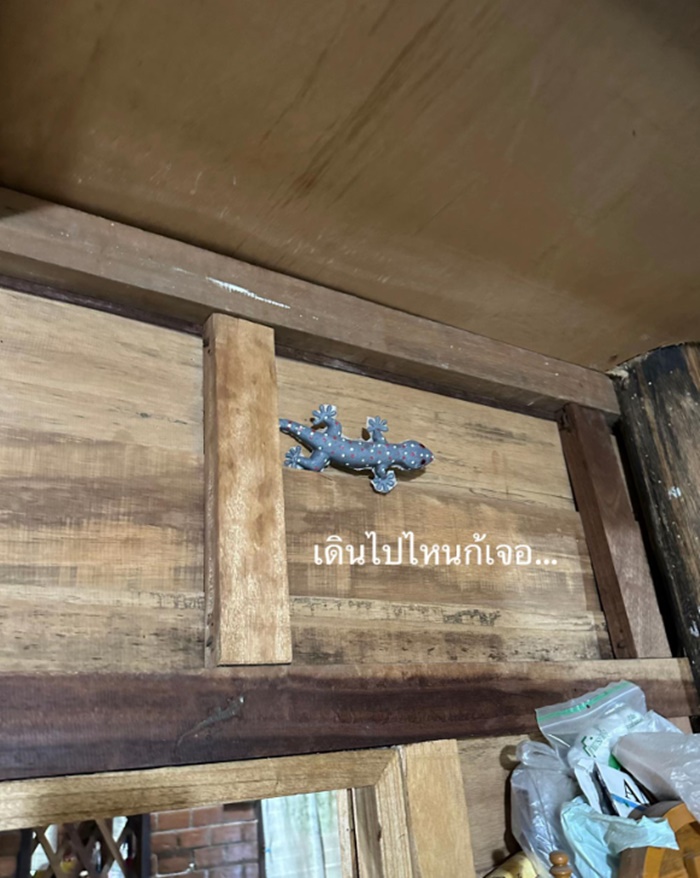 ตกแต่งบ้าน