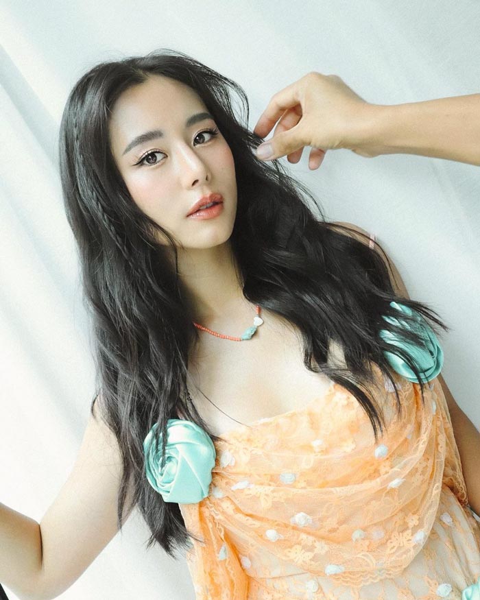 ใบเฟิร์น อัญชสา