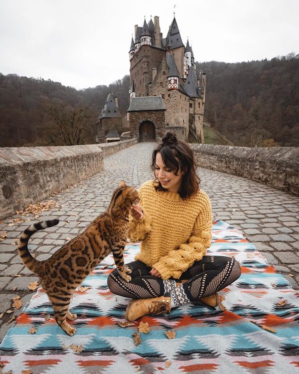 อินสตาแกรมแมว