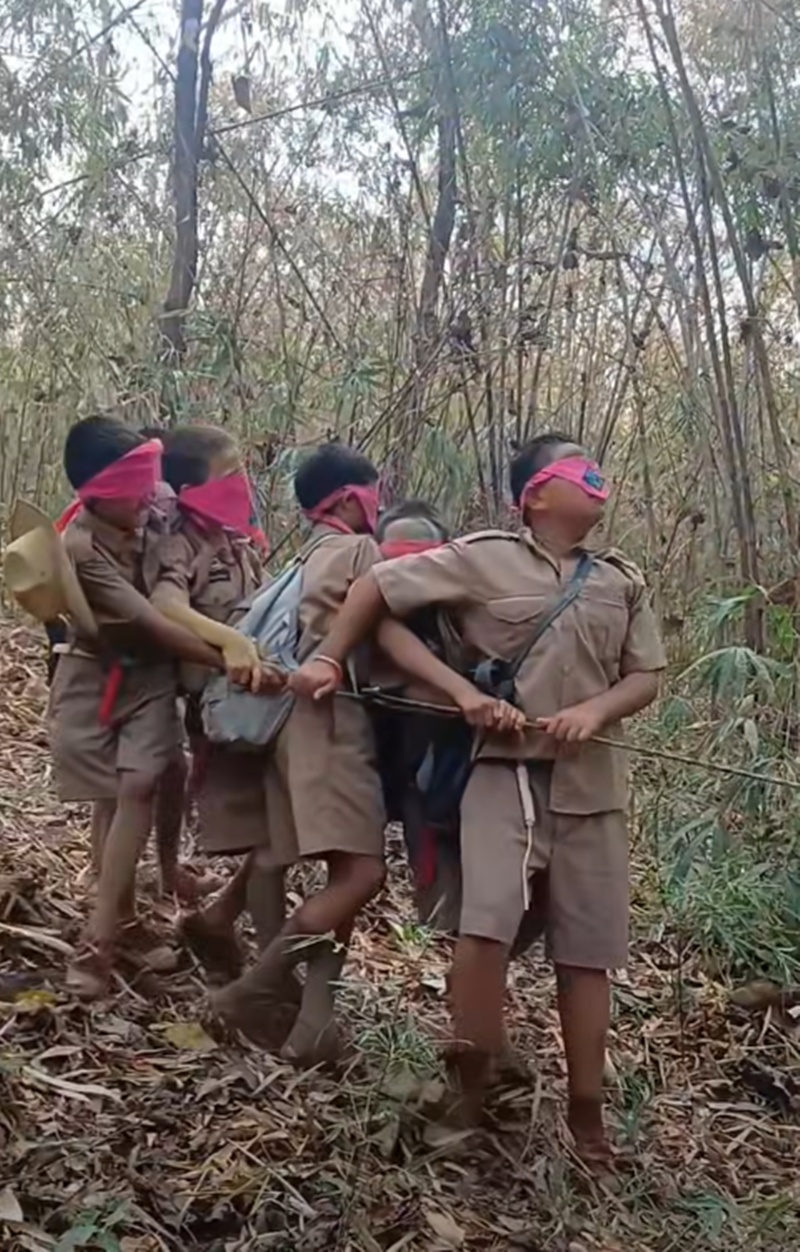 เดินป่า