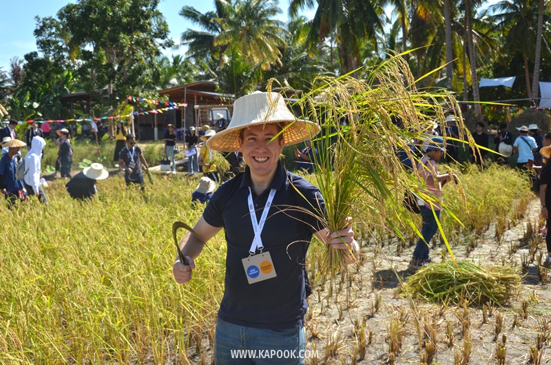 เที่ยวพัทยาเส้นทางใหม่ชุมชนวิถีเกษตรและวัฒนธรรม