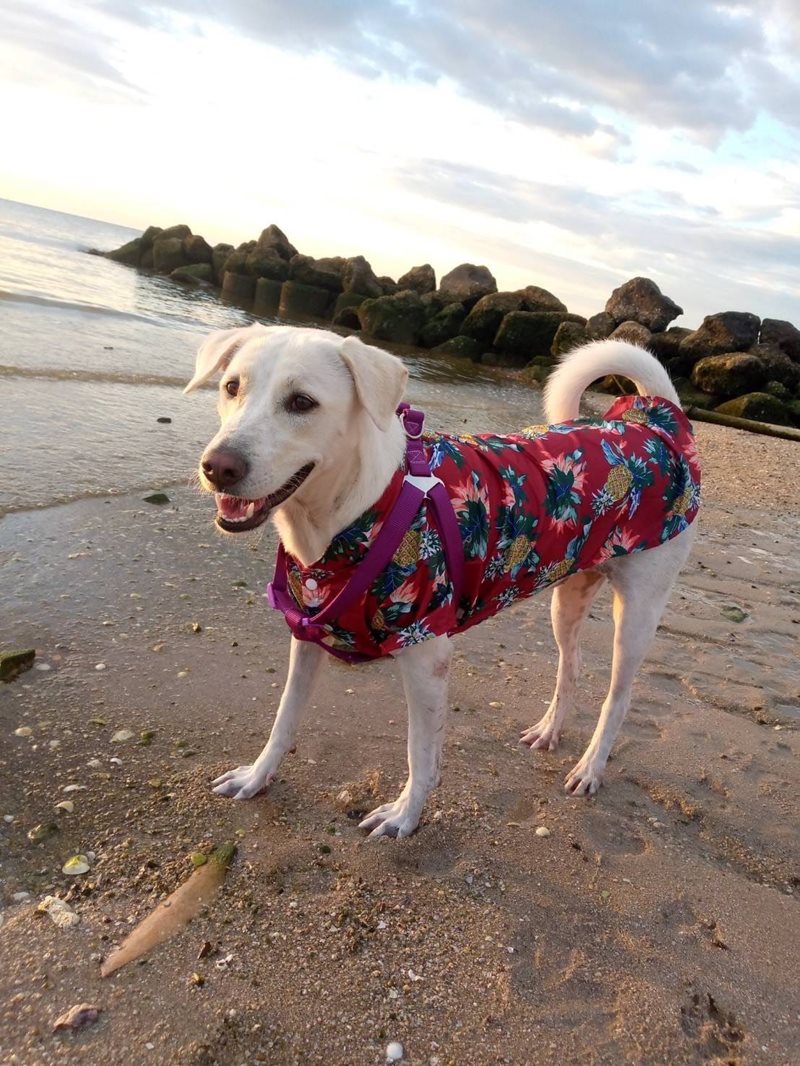 น้องดิ๊กกี้