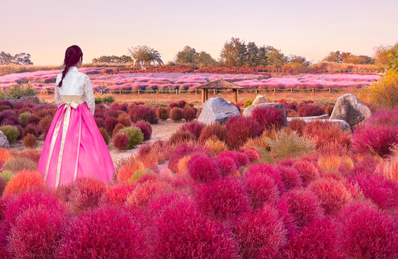 สวนสาธารณะฮานึล (Haneul Park) กรุงโซล