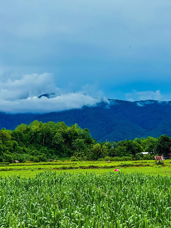 ที่พักหน้าฝน 2568 The River Runs Chiang Klang