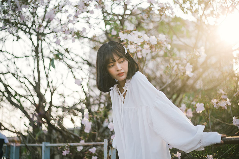 ชมพูพันธุ์ทิพย์ 2565