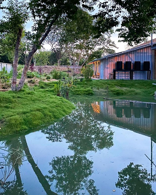 สวน โทนี่ แก้ว