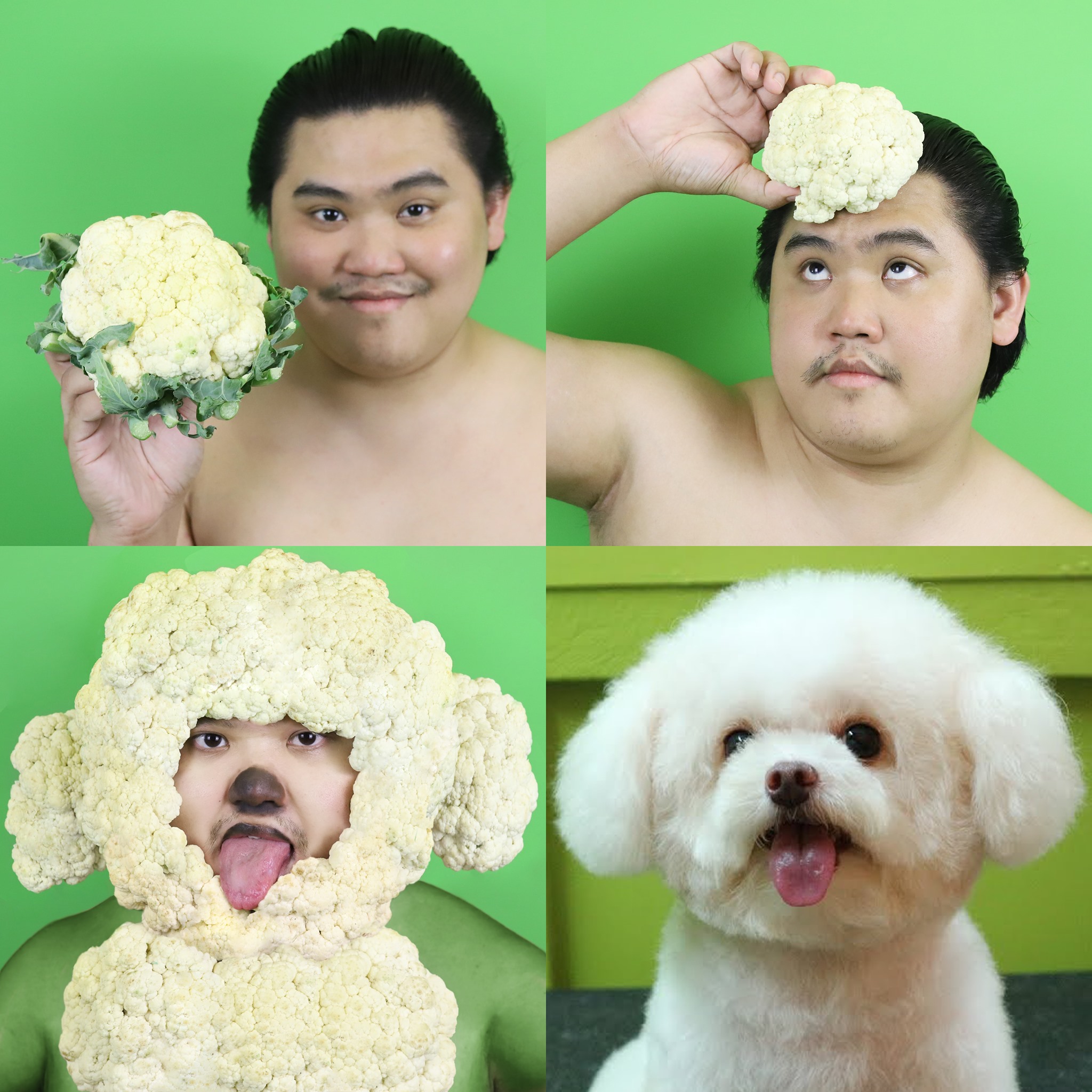 คอสเพลย์สัตว์โลกน่ารัก