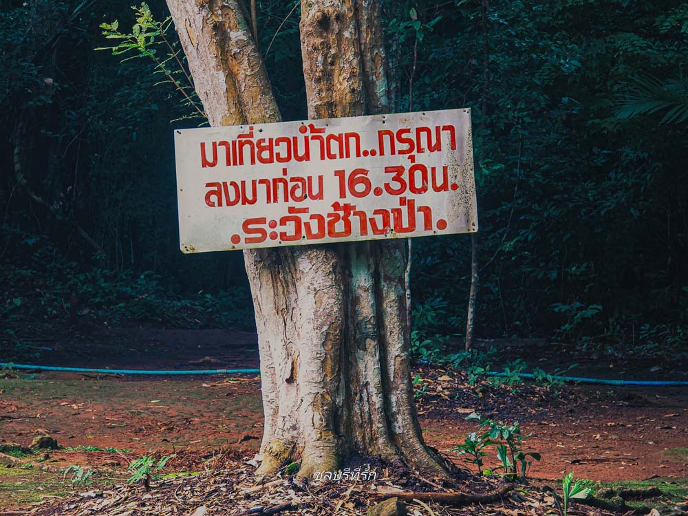น้ำตกอ่างผักหนาม น้ำตกชลบุรี