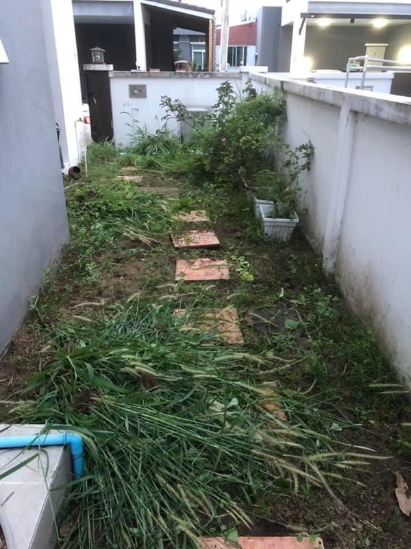 จัดสวนข้างบ้าน
