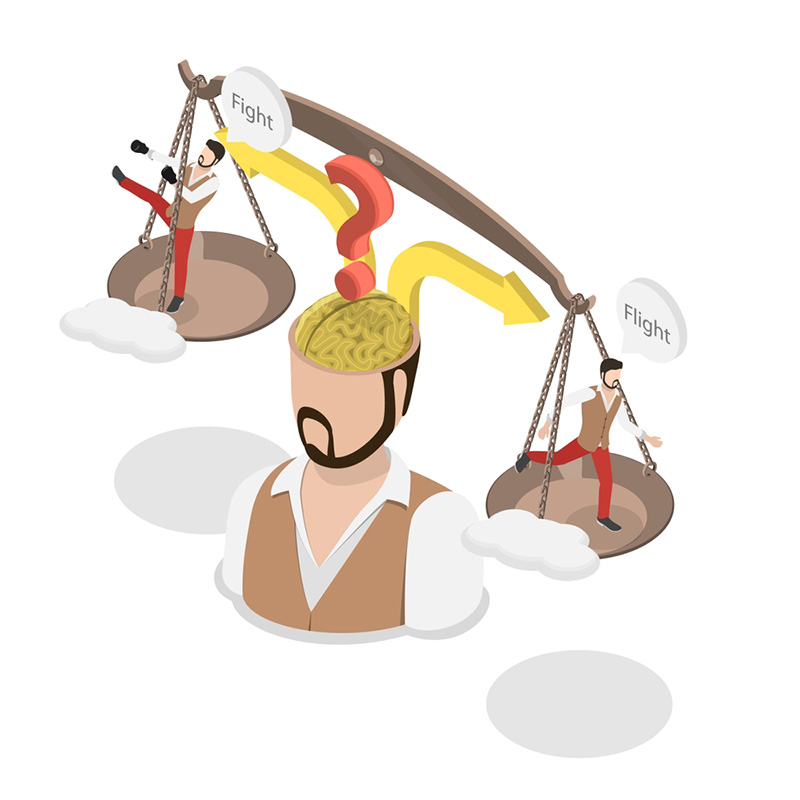 Fight or Flight Response