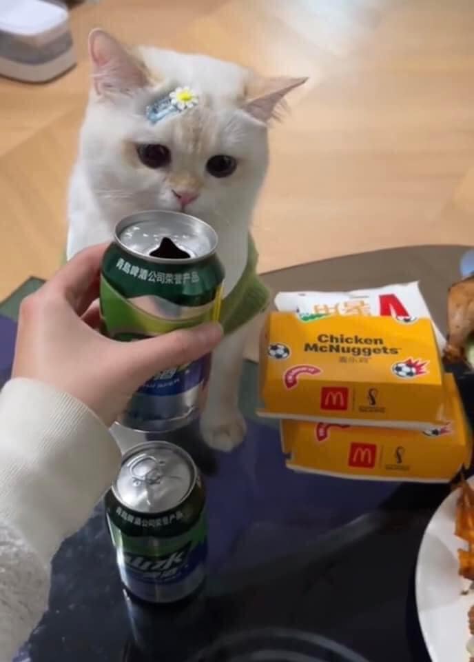 ขอเงินแม่