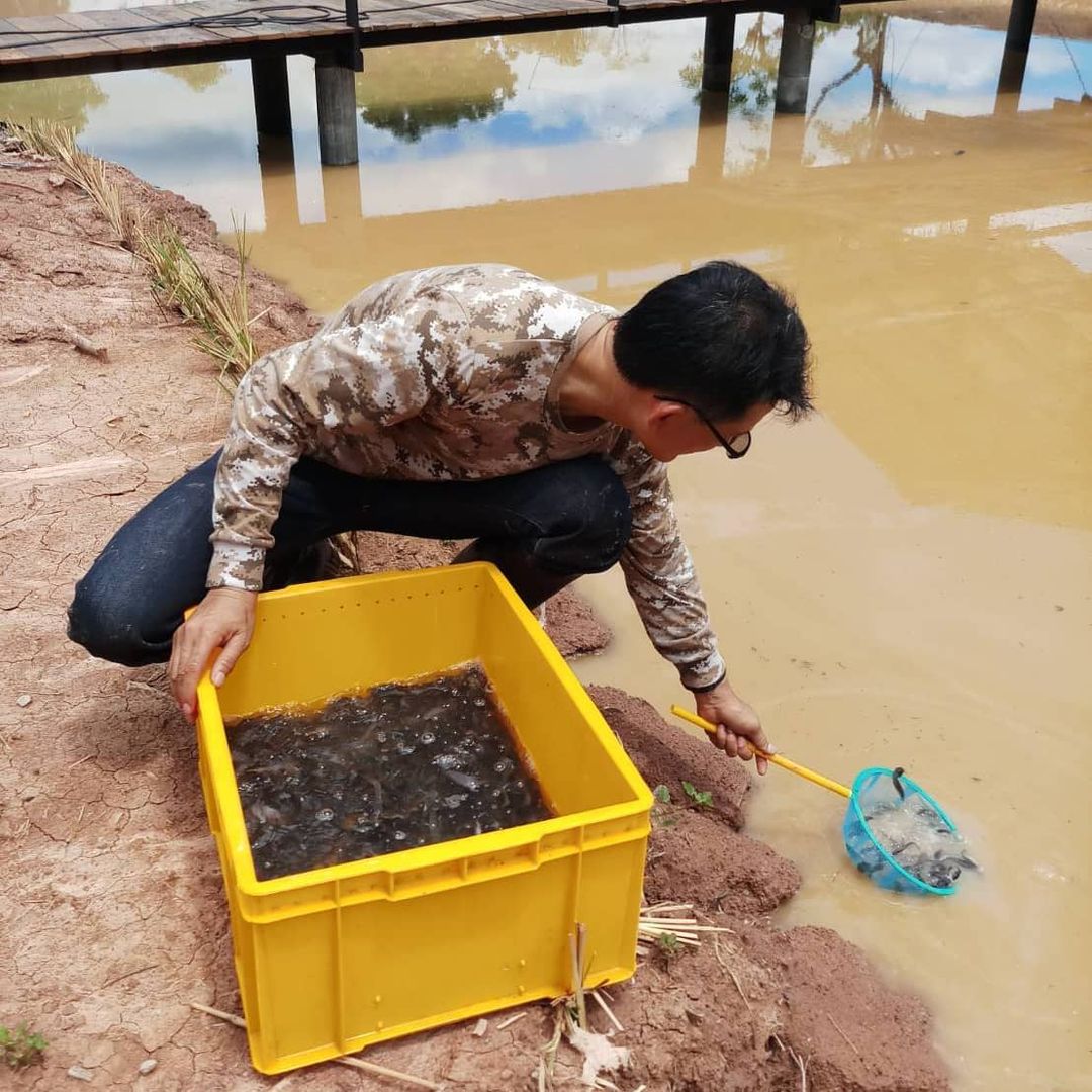 กิตติ สิงหาปัด