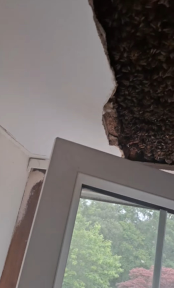 ห้องนอน