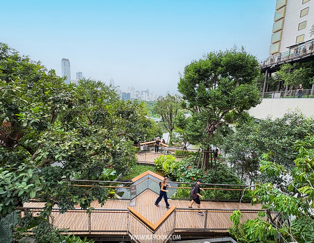 สวนดุสิตอรุณ Dusit Central Park