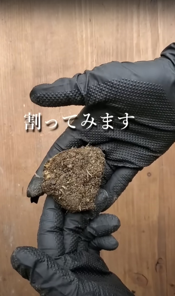 ข้าวปั้น