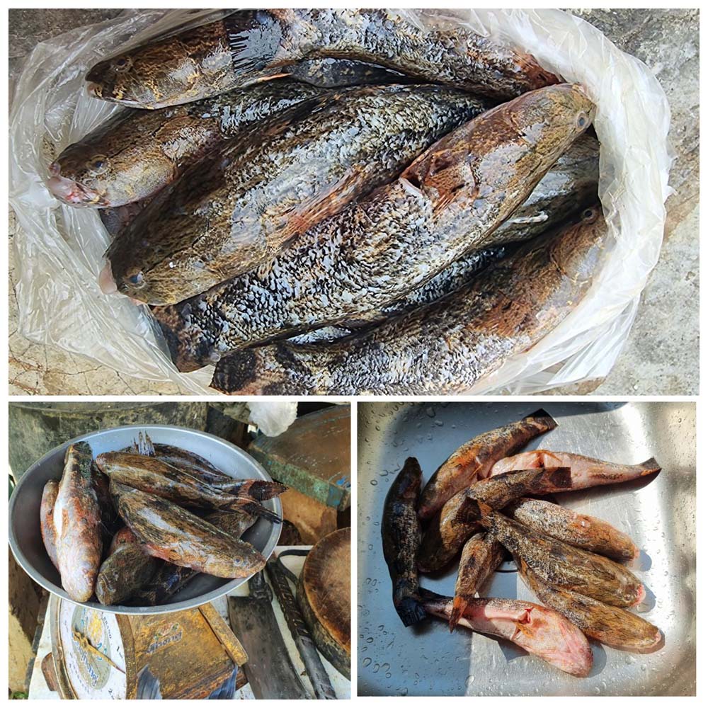 ต้มส้ม
