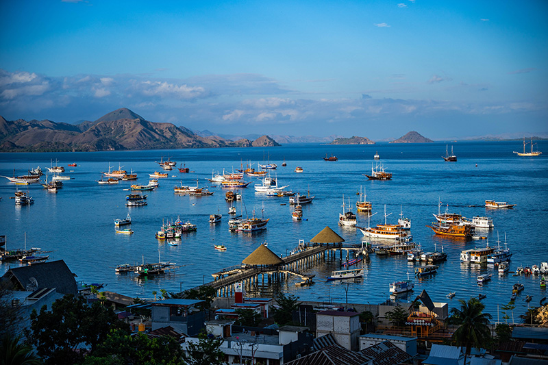 เกาะปาดาร์ Padar Island อินโดนีเซีย