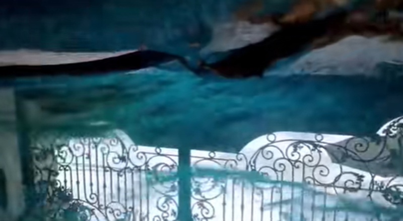 รีวิวบ้าน