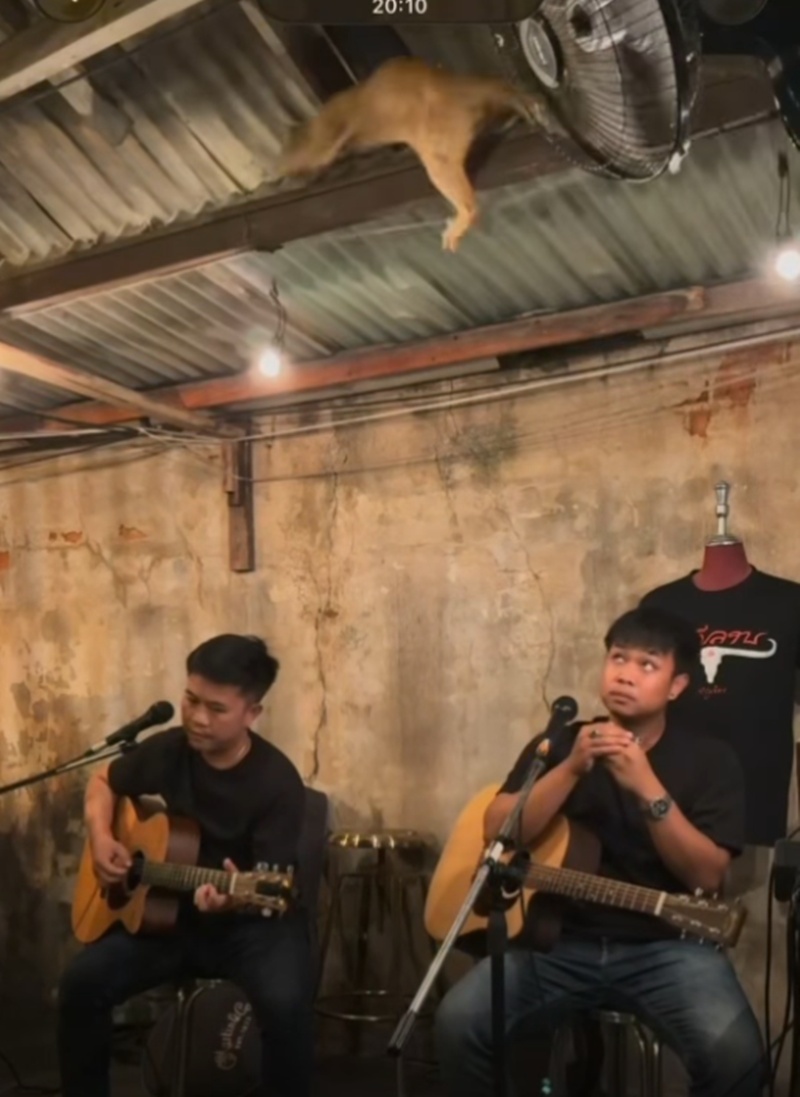 นักดนตรี
