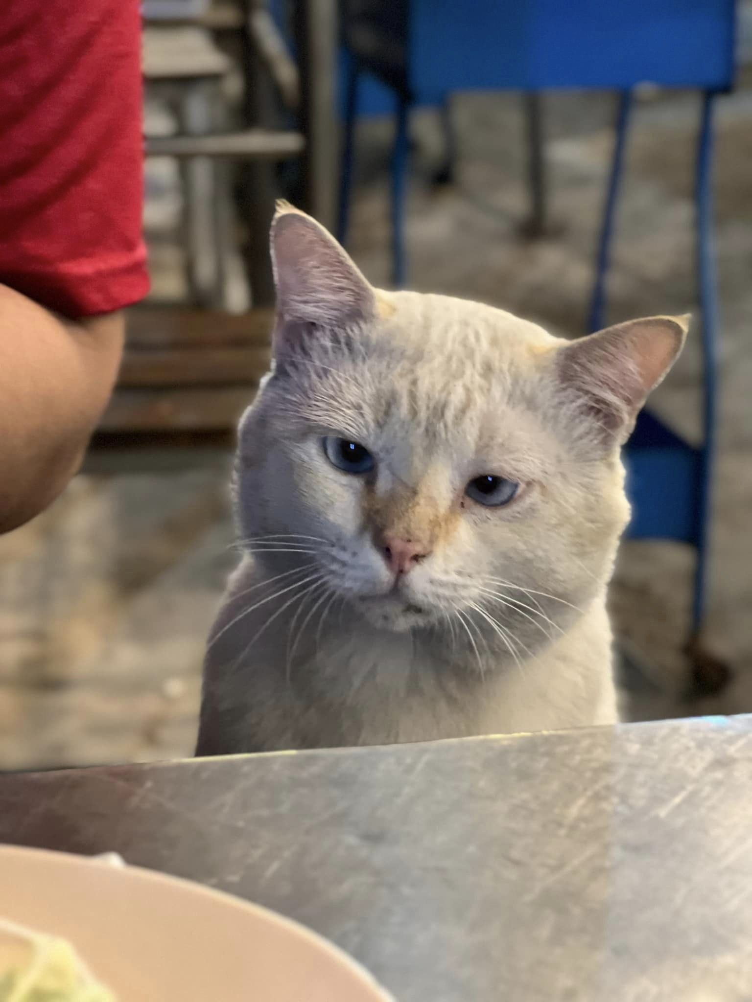 เด็กเอน