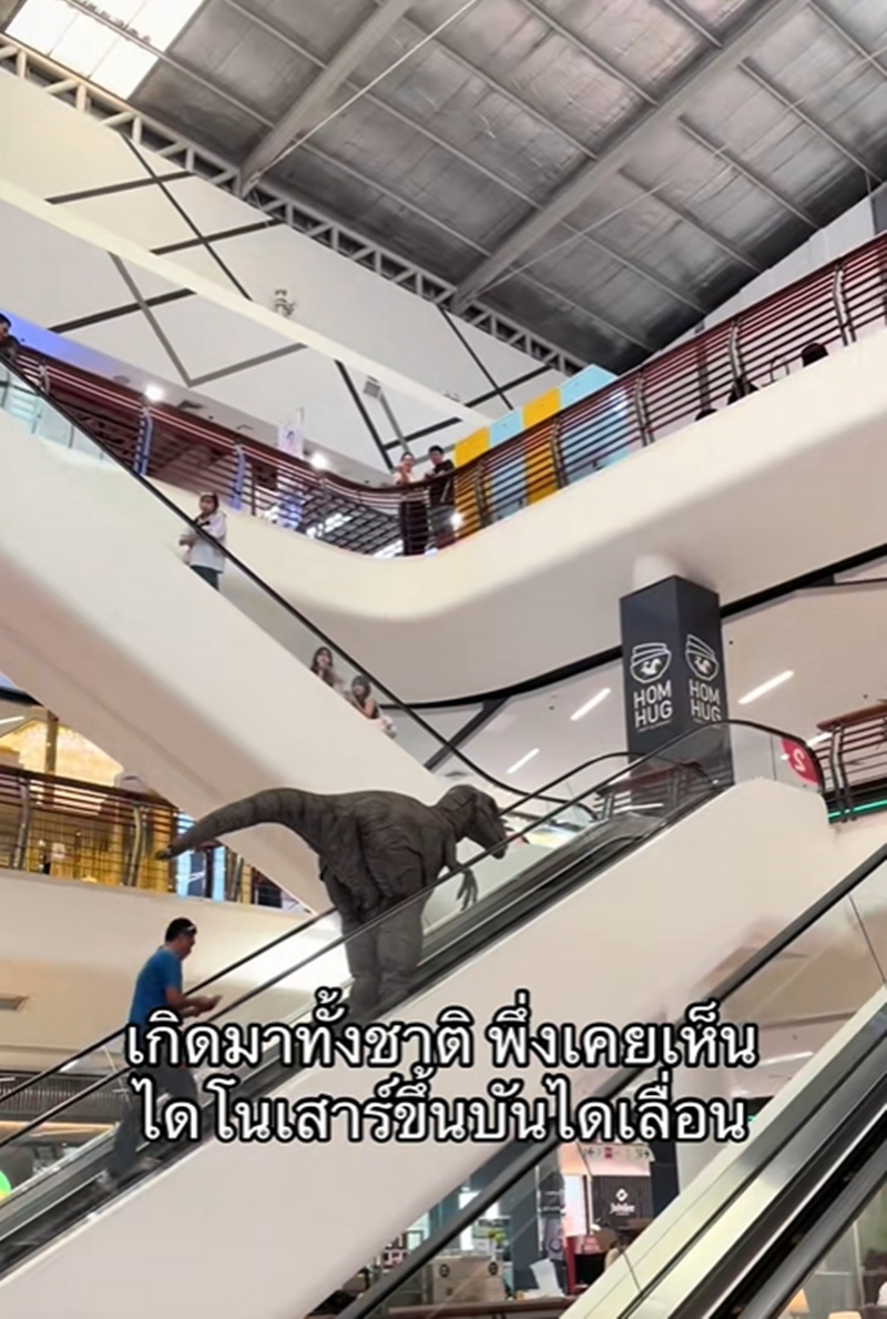 ไดโนเสาร์ขึ้นบันไดเลื่อน