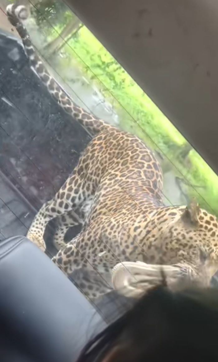 ขโมยของ