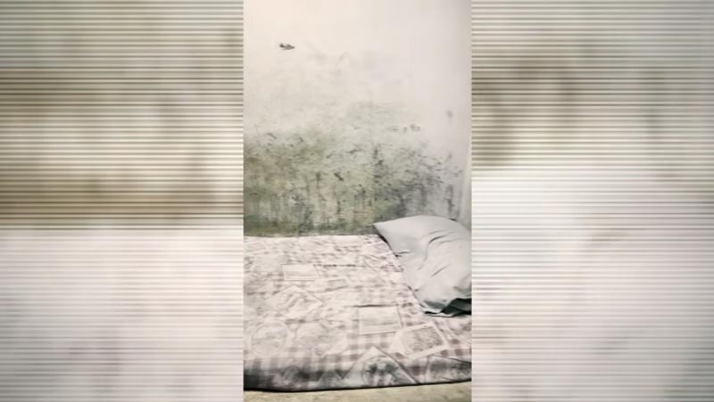 ต้นหอม ศกุนตลา