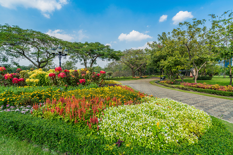 Bangkok