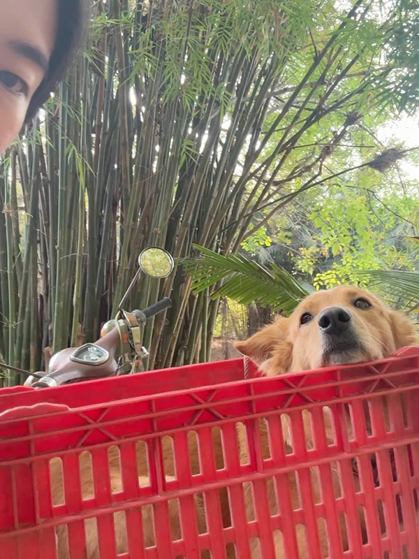 ก้อย อรัชพร