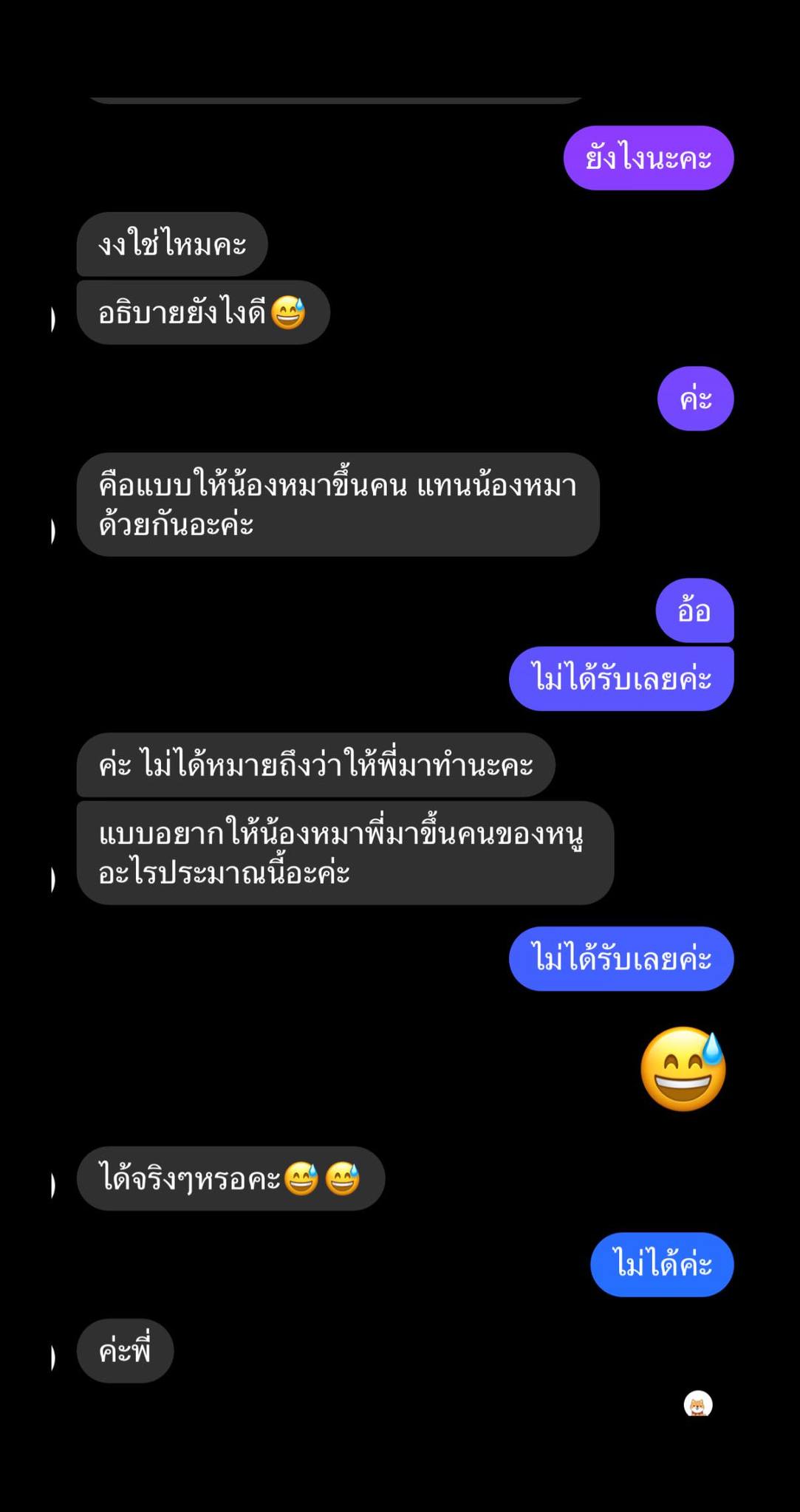 ฟาร์มหมา