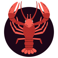 ดูดวงการเงิน