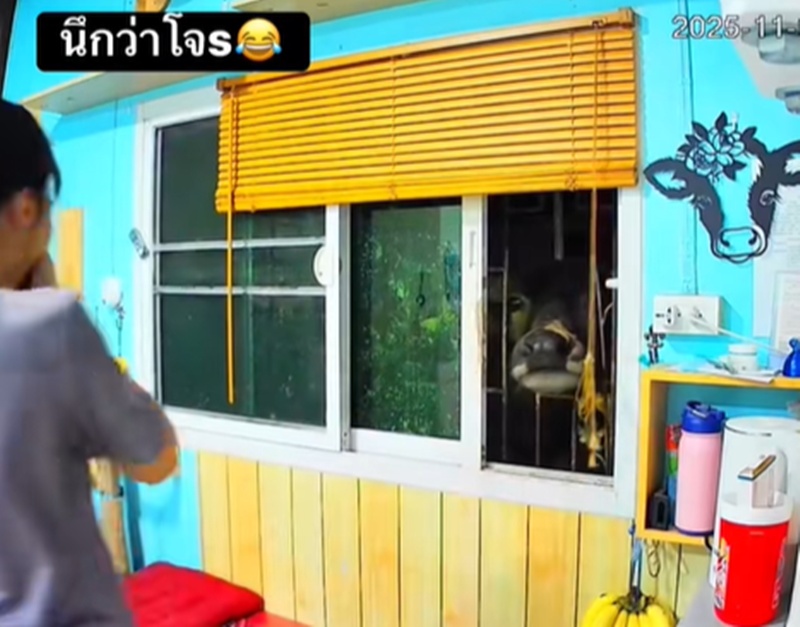 โจรทุบรถ