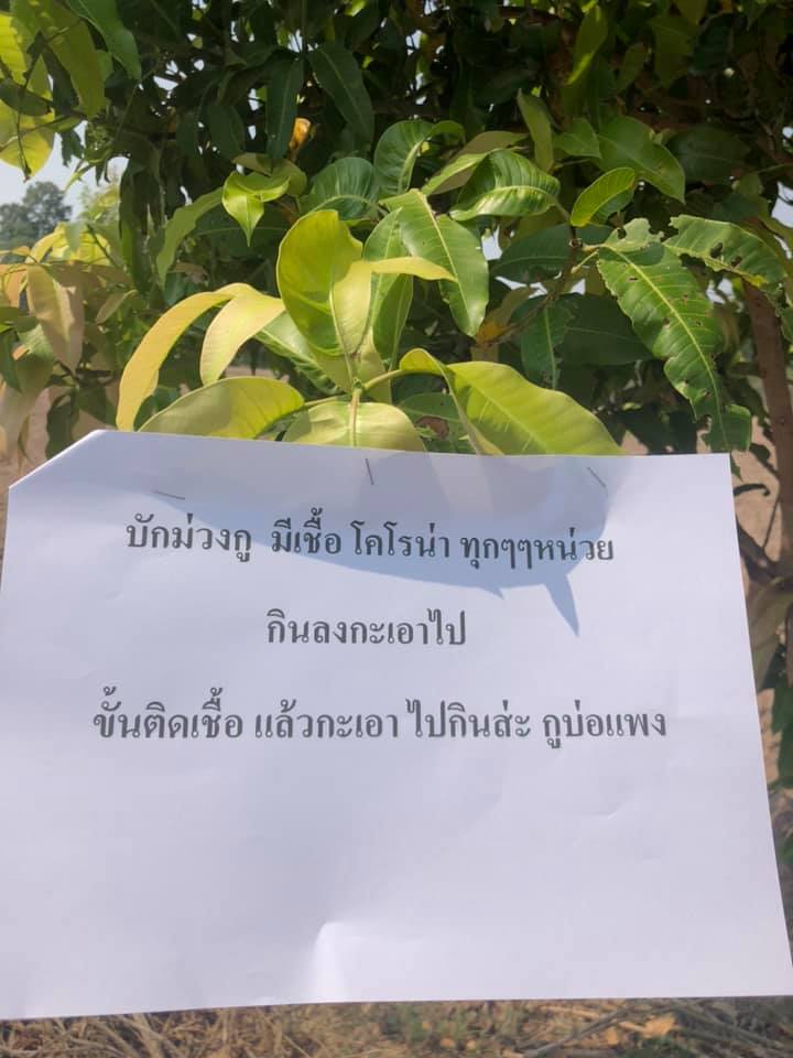 ป้ายเตือนขโมย