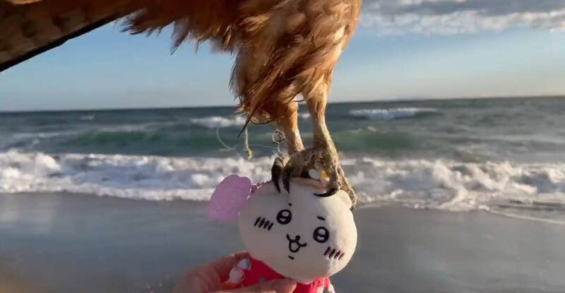 ขโมยตุ๊กตา