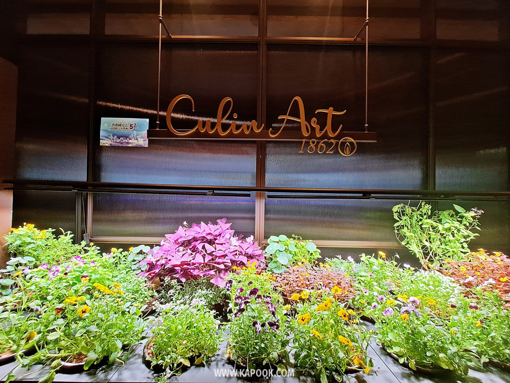 เที่ยวฮ่องกง ร้านอาหารแนะนำ