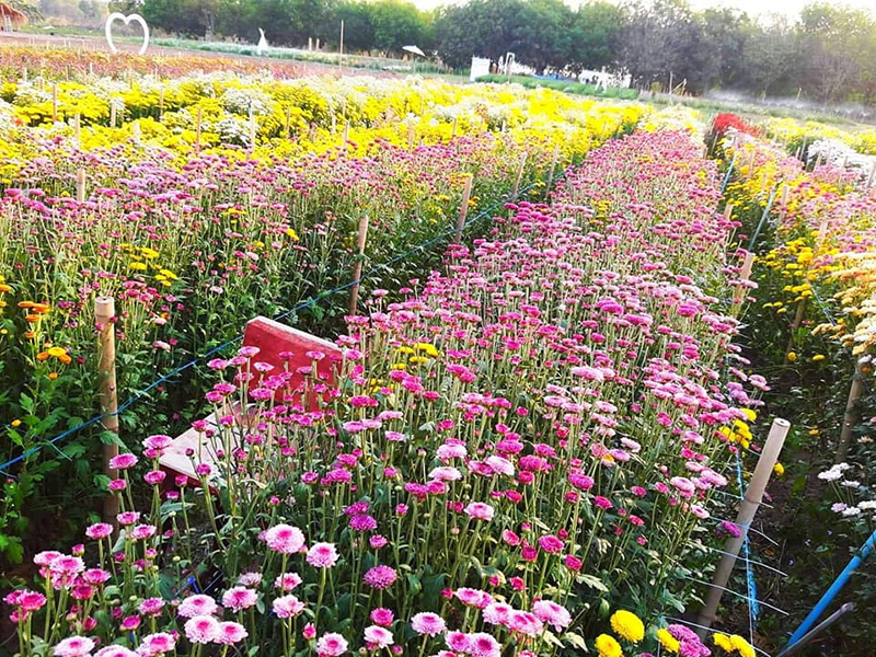 สวนดอกไม้ อุดรธานี