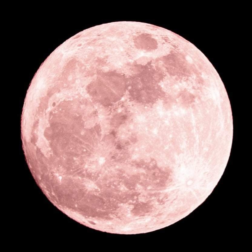 พระจันทร์สีชมพู