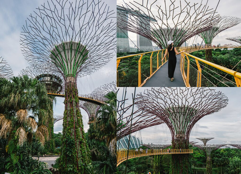 ที่เที่ยวสิงคโปร์ด้วยตัวเอง