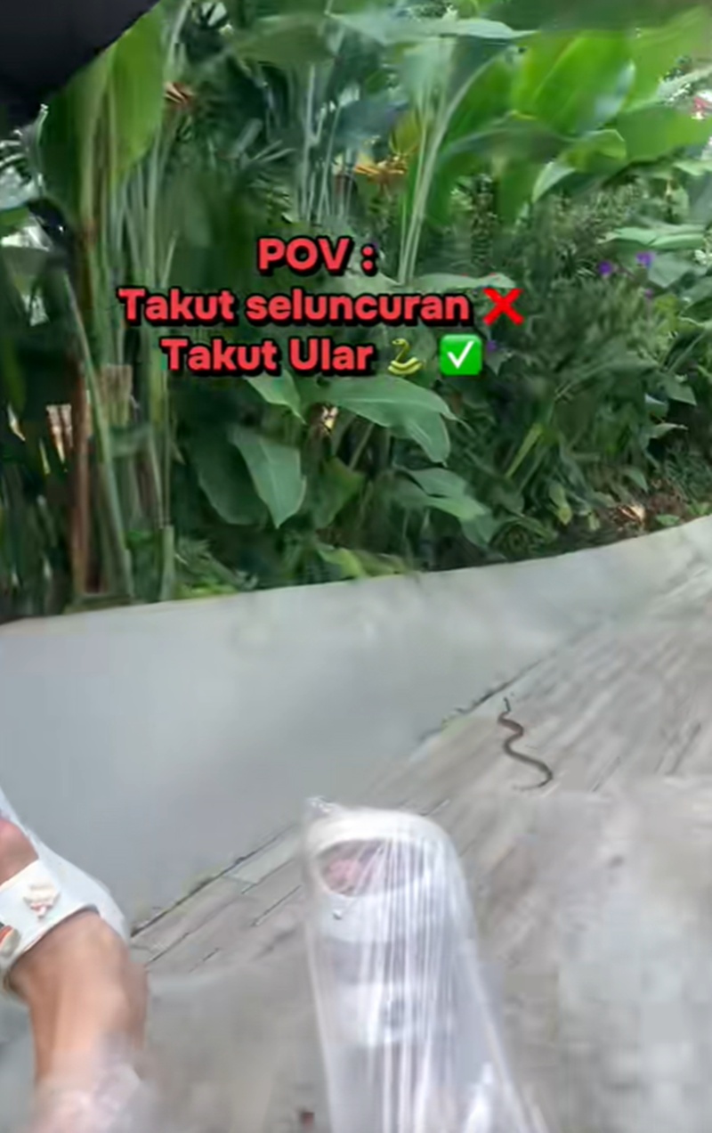 เล่นสไลเดอร์