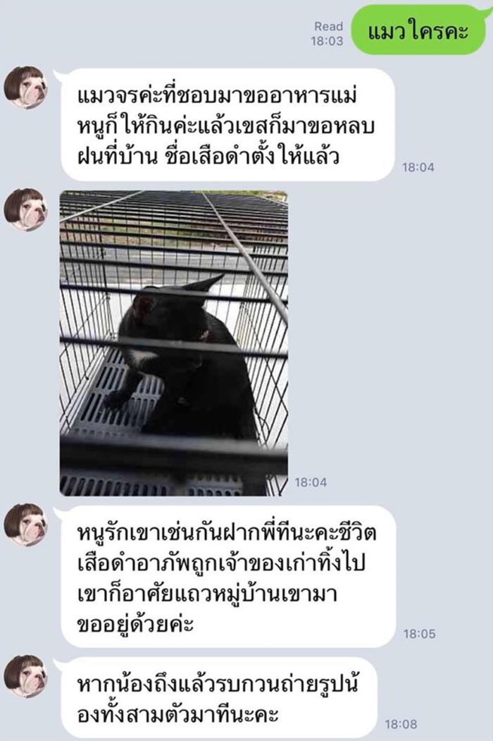 อั้ม พัชราภา