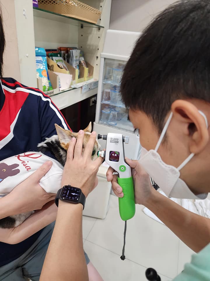 ตรวจสขุภาพตาสุนัข