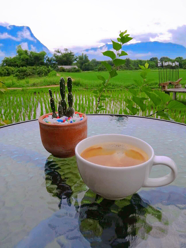 ร้านกาแฟเชียงใหม่ ธรรมชาติ
