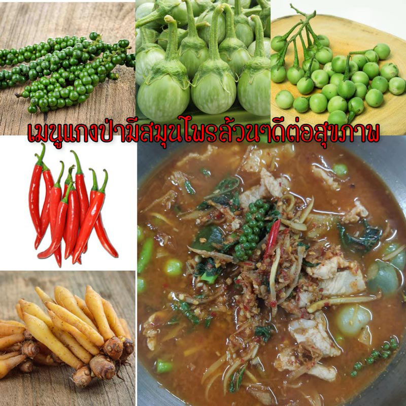 ร้านแกงป่า