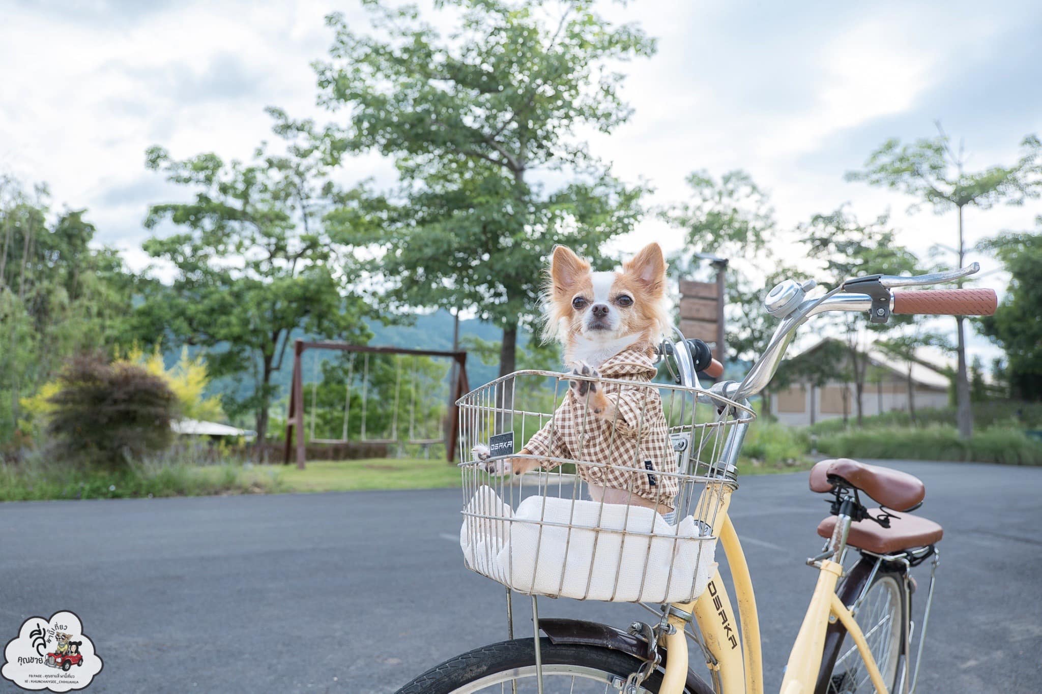 Marasca Khao Yai