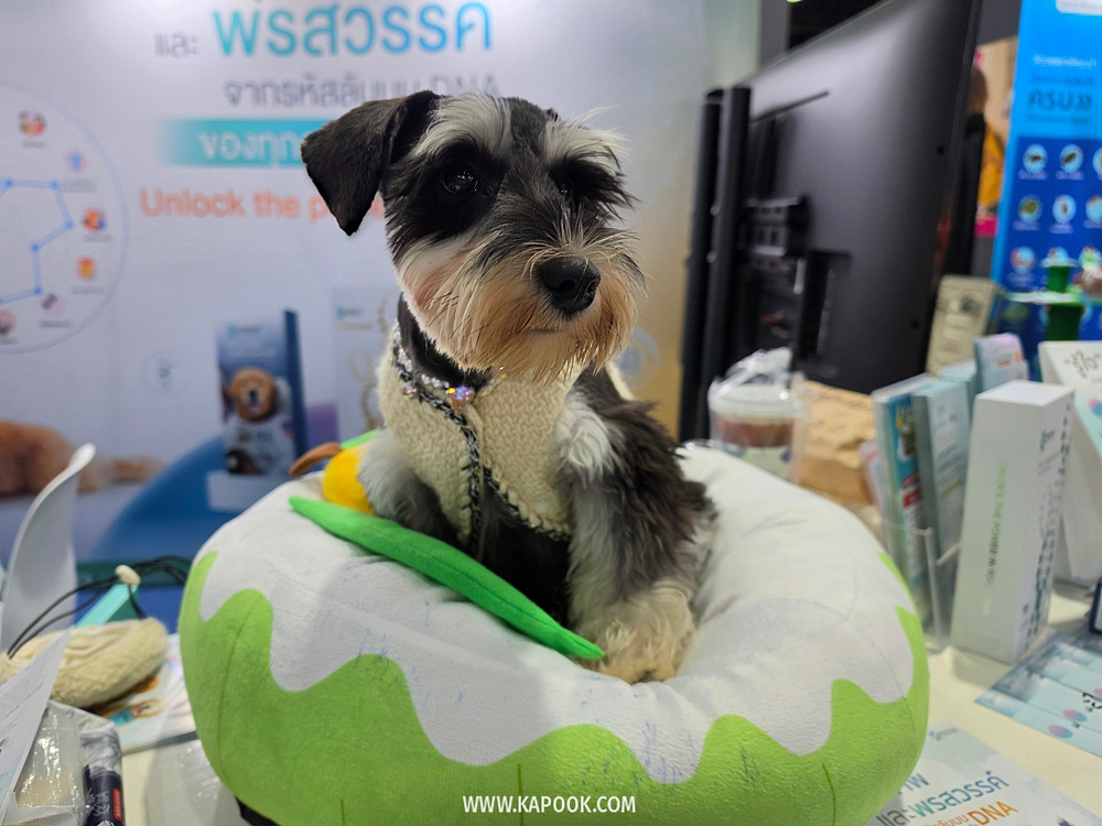 งาน Pet Expo Championship 2026