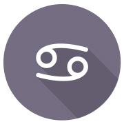 ดูดวงเดือนตุลาคม 2567 ของคน 12 ราศี พยากรณ์เข้มขลังจากไพ่พระพิฆเนศ